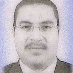 Haitham Taha Ahmed Amer1
